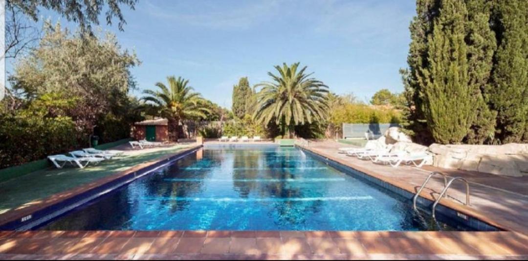 Les Mobilhomes Helvetiques 4 Etoiles Mar Estang Canet En Roussillon Dış mekan fotoğraf